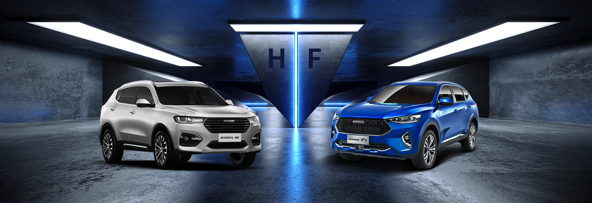 Gmw power haval